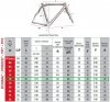 mia pinarello prince geometrie.jpg