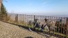 20190209_091656.jpg