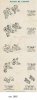 Simplex cat 1965.jpg