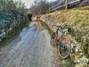 IMG_20190209_153100-01.jpeg