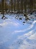WP_20190217_13_26_48_Rich.jpg