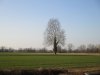 IMG_1287.JPG