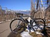 IMG_20190217_135737.jpg