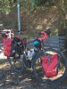 IMG_20180905_121603.jpg
