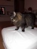 20190222_205548.jpeg 20190222_205548.jpeg