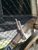 IMG-20190224-WA0026.jpg