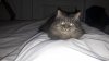 IMG-20190321-WA0006.jpeg