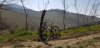 20190322_134139.jpeg