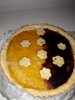 20190322_225242.jpeg