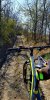20190323_153001.jpeg