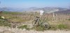 20190323_120750.jpeg