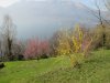 IMG_1528.JPG