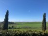 IMG-20190323-WA0059.jpeg