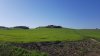 20190322_160533.jpeg