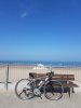 20190330_145424.jpeg