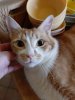 20190323_141021.jpeg