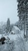 DSC_0424~3.JPG