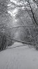 DSC_0421~3.JPG