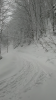 Screenshot_20190410-131154.png