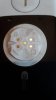 IMG-20190410-WA0001.jpg IMG-20190410-WA0001.jpg