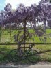 20190413_120026-01-01.jpeg