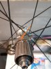 IMG_20190415_074046.jpg