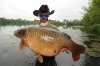 HENRYCARP.jpg