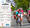 Schermata 2019-04-23 alle 22.35.34.png Schermata 2019-04-23 alle 22.35.34.png