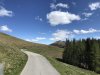 3946CB6C-0D7D-48AE-8D06-6B82D8DF0BA2.jpeg