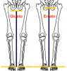 Image004.png Image004.png
