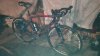 IMG-20190507-WA0004.jpg