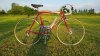 IMG-20190507-WA0005.jpg