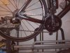 IMG_20190511_113008.jpeg