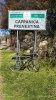 IMG_20190331_114007.jpeg