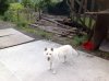 image.jpeg image.jpeg