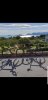 Screenshot_20190530-193624_Gallery.jpg