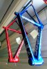 Corratec CCT EVO.JPG