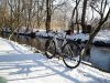 20170129_100005.jpeg