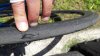 IMG-20190616-WA0011.jpg IMG-20190616-WA0011.jpg