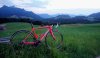 DSC_0547~13.JPG