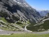 IMG_20190629_115218.jpeg