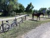 IMG-20190630-WA0014.jpeg IMG-20190630-WA0014.jpeg