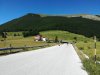 IMG_20190630_102228.jpg
