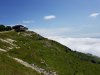 20190712_110923.jpg
