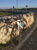 IMG_20190725_192743.jpeg