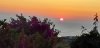 IMG-20190723-WA0043.jpg