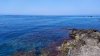IMG_20190725_103935.jpg