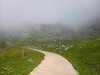 WP_20190727_11_30_08_Rich.jpg