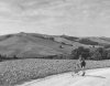 L'Eroica SanteMarie anni '10.jpg