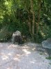 IMG_20190804_105639.jpg